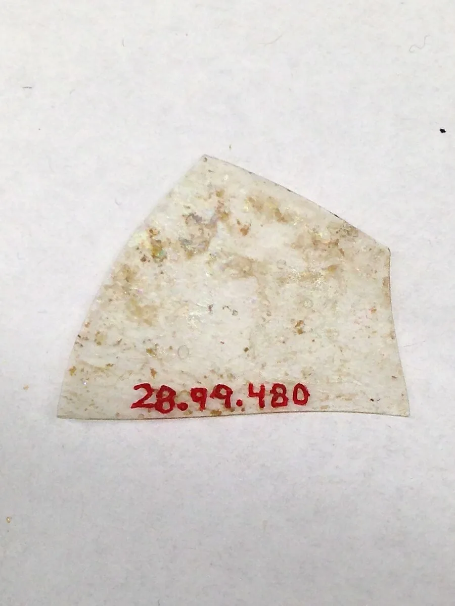 Fragment — Unknown