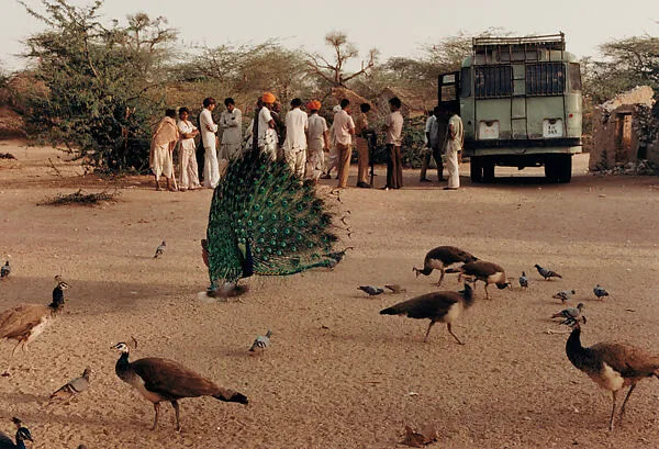 A Village Bus Stop, Barmer, Rajasthan — Raghubir Singh