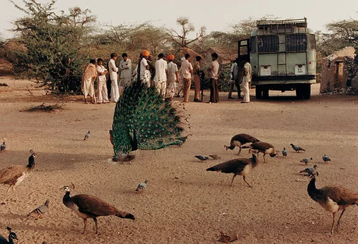 A Village Bus Stop, Barmer, Rajasthan