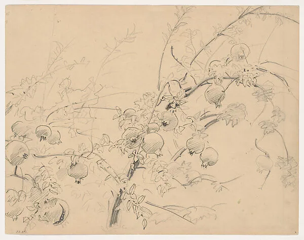 Pomegranates — John Singer Sargent