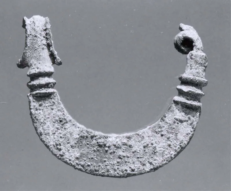 Fibula — Unknown