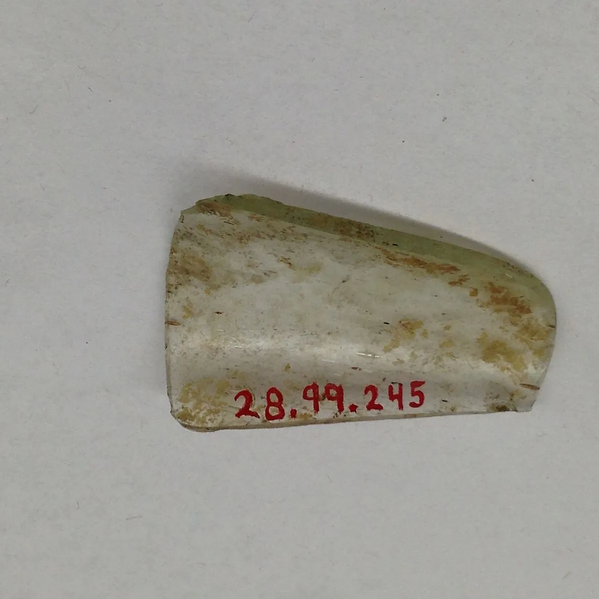 Fragment — Unknown