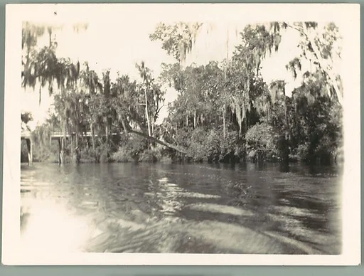 [Florida Everglades]