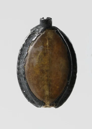 Cowroid bead