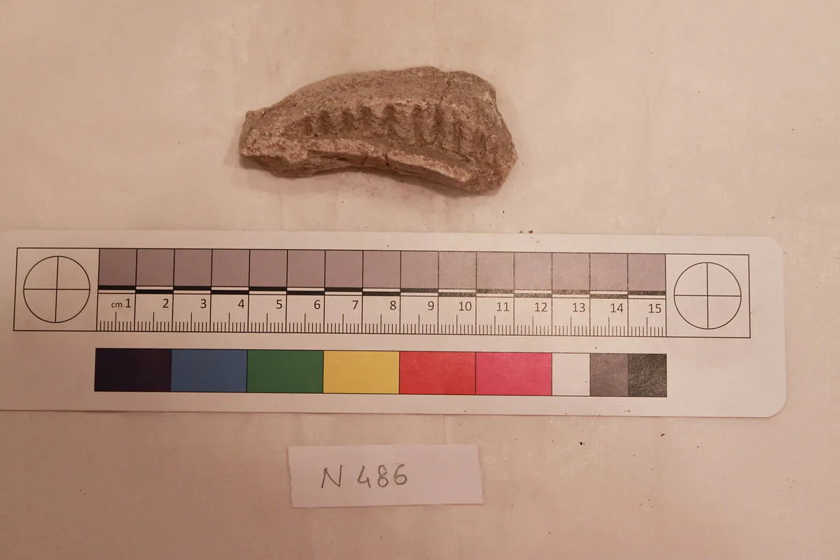 Stucco Fragment — Unknown