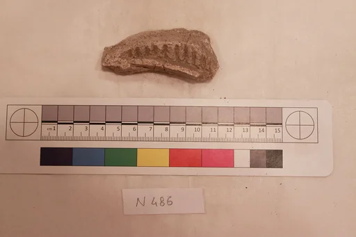 Stucco Fragment