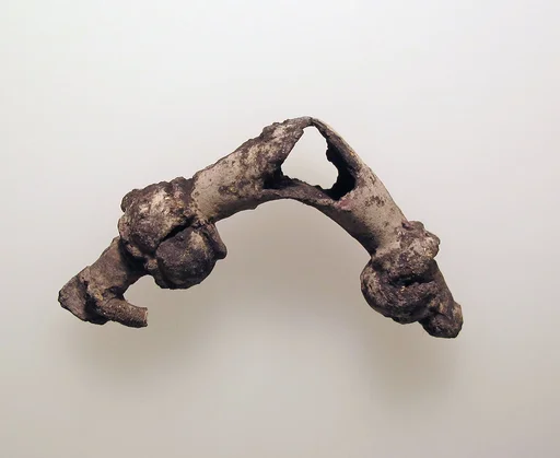 Fibula