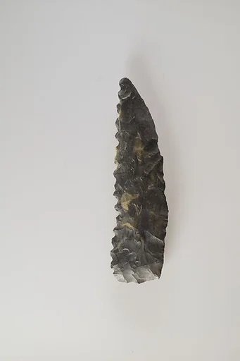 Bifacial Sickle Insert