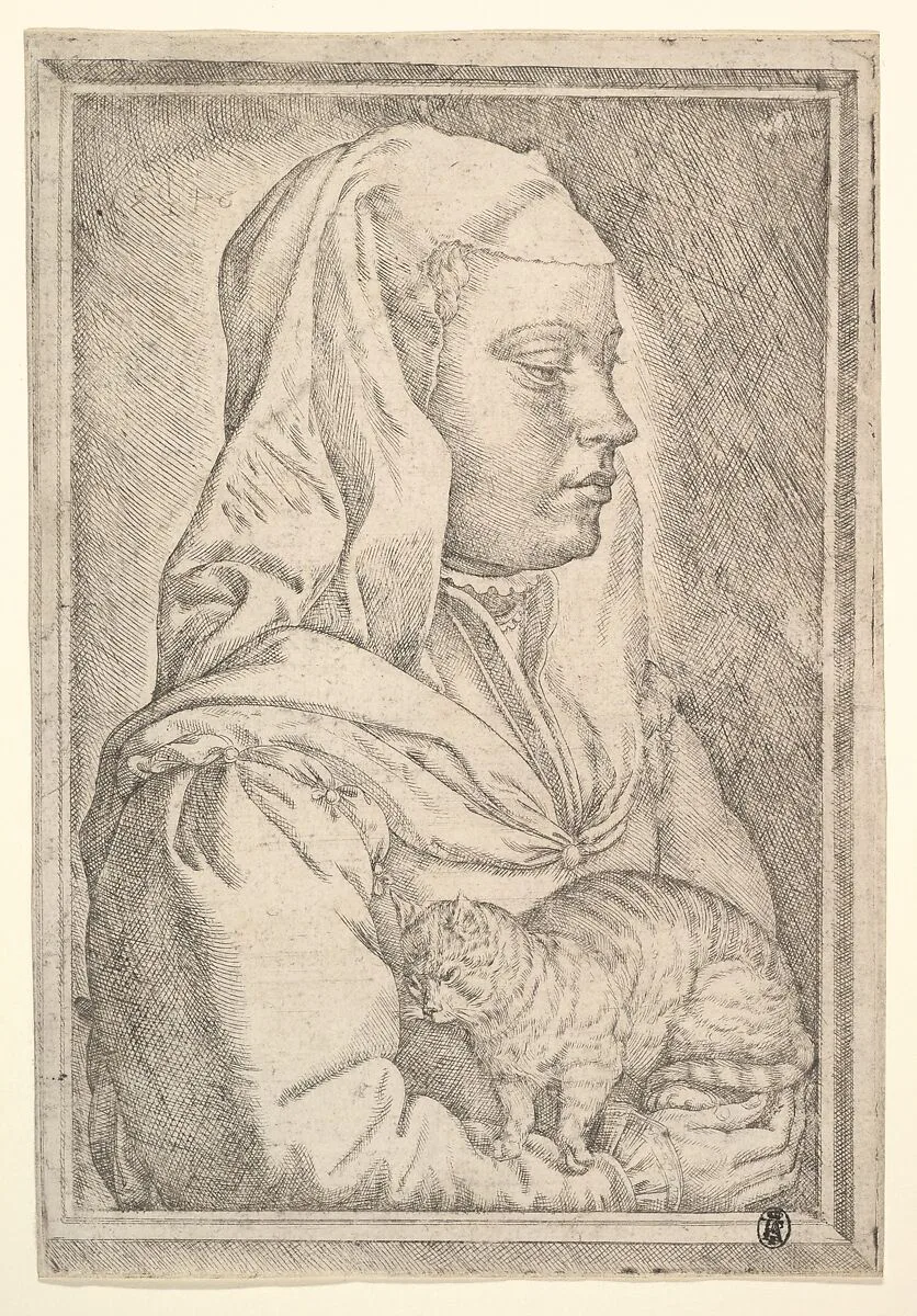 Girl with a Cat — Jan Cornelisz Vermeyen