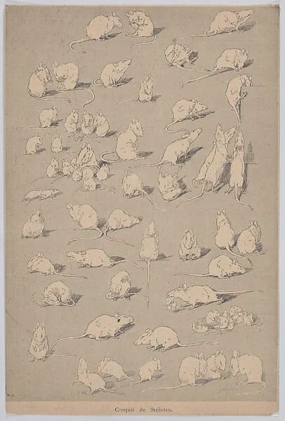 Croquis de Steinlen (Sheet of Illustrations from Le Chat Noir) — Théophile-Alexandre Steinlen