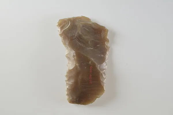 Sickle Insert — Unknown