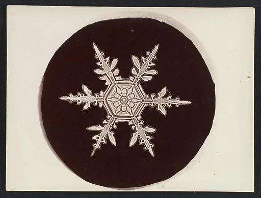 [Snow Crystal]