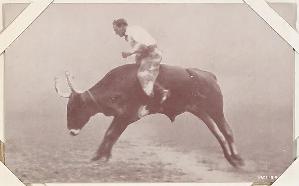 Cowboy riding bull from Indians and Western Historical Scenes series (W417) — Unknown