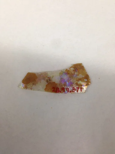 Fragment