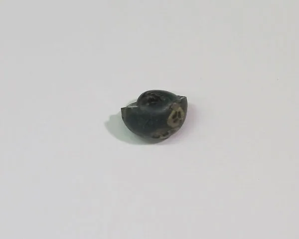 Bead with rosette canes — Unknown