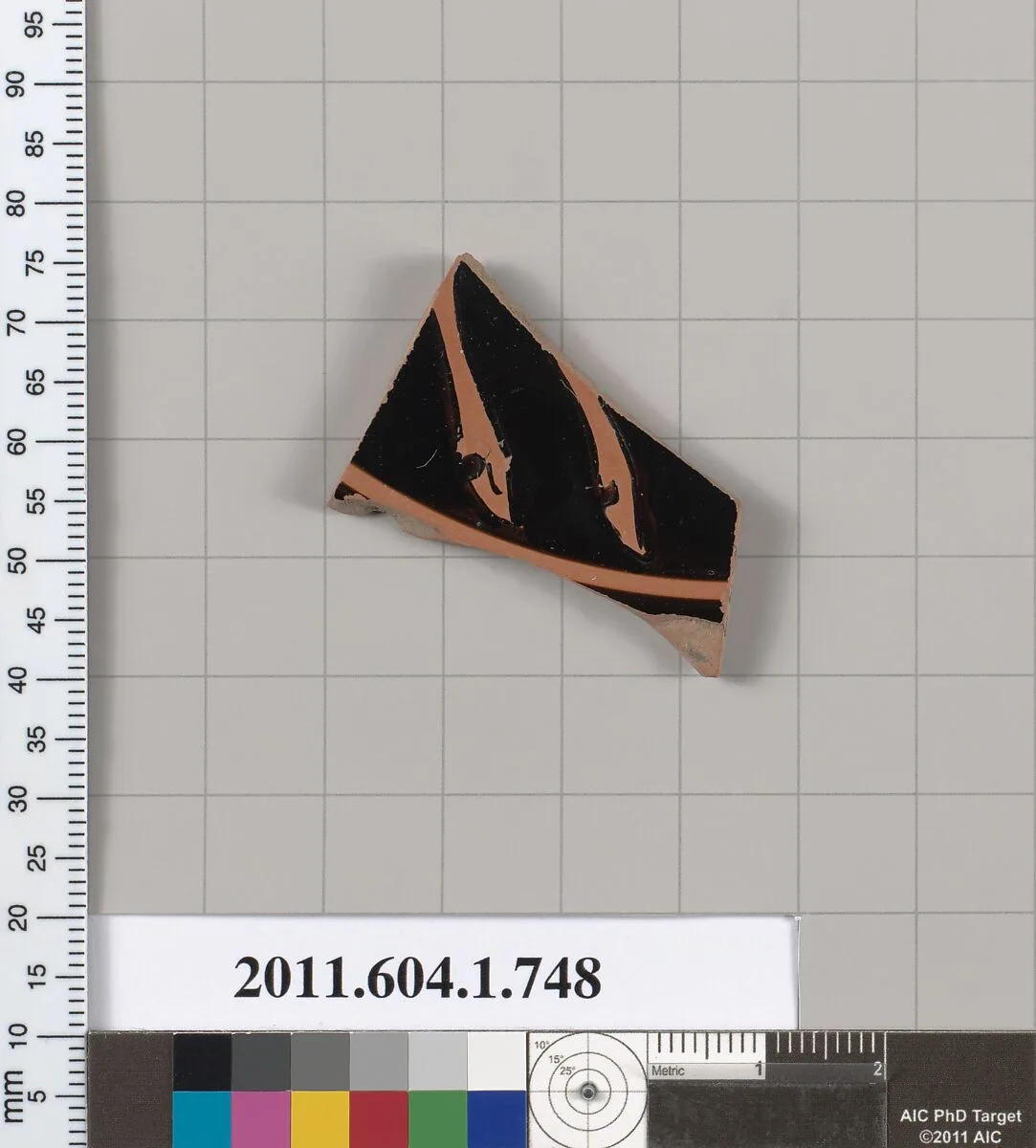 Terracotta fragment of a kylix (drinking cup) — Unknown