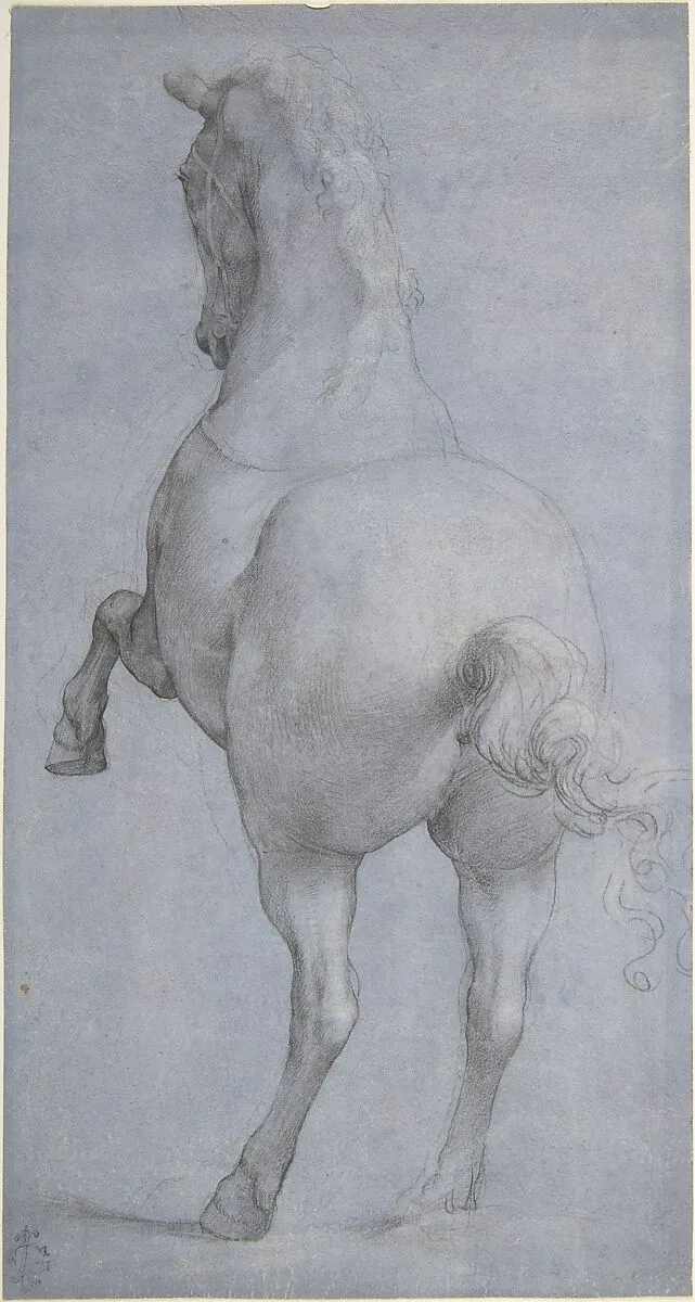 Rearing Horse in Rear Three-Quarter View — Anonymous, Italian, Florentine, 16th century