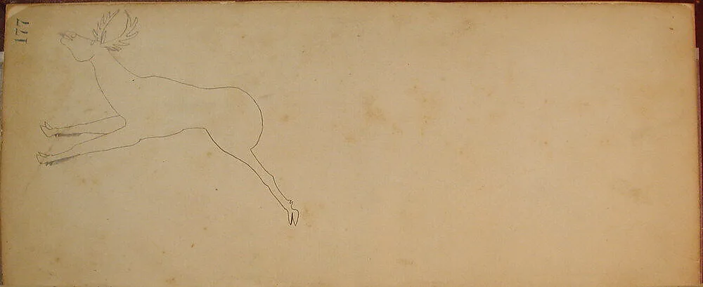 Maffet Ledger: Drawing — Unknown