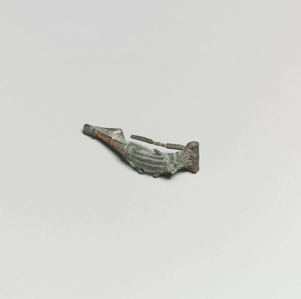 Fibula — Unknown