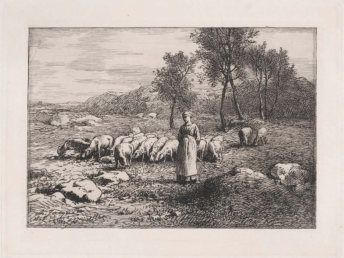 Troupeau de Porcs — Charles Jacque