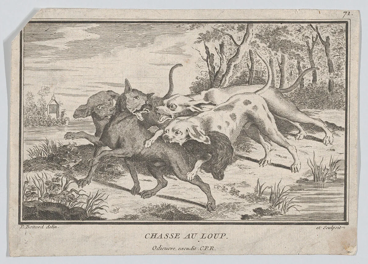Wolf Hunt — Louis Pierre Boitard