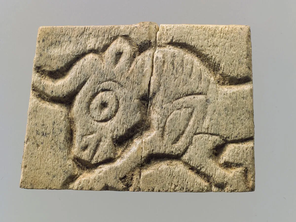 Panel fragment — Unknown