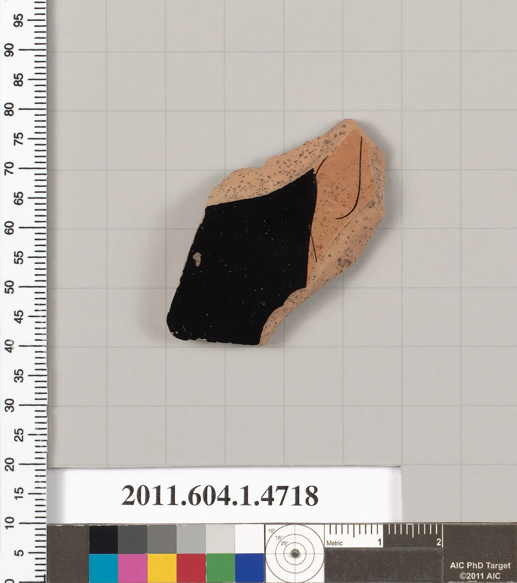 Terracotta fragment of a kylix (drinking cup) — Unknown