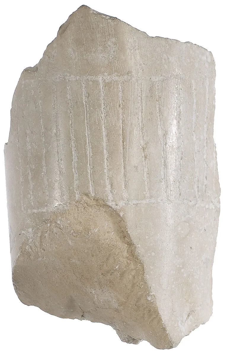Pleated garment with selvage at ankle — Unknown