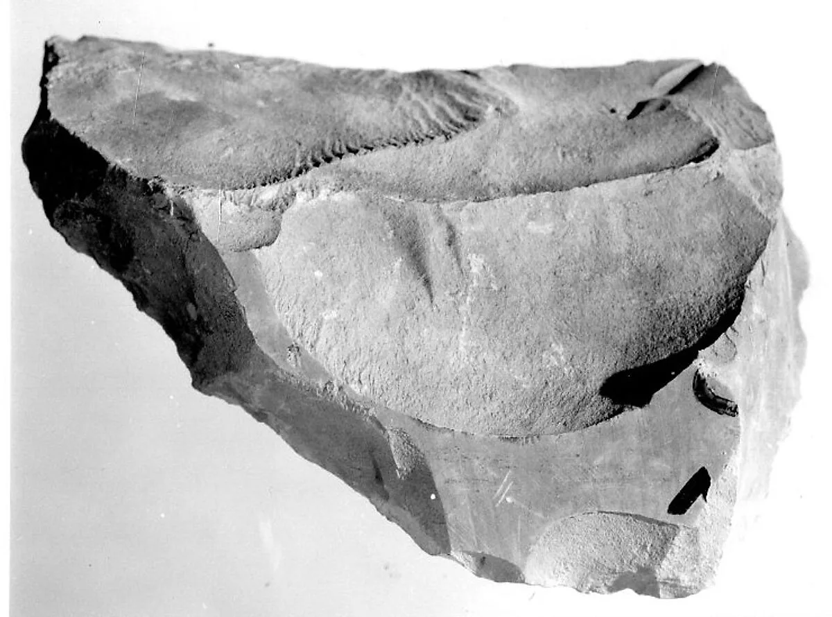 Relief fragment, tomb of Meketre — Unknown