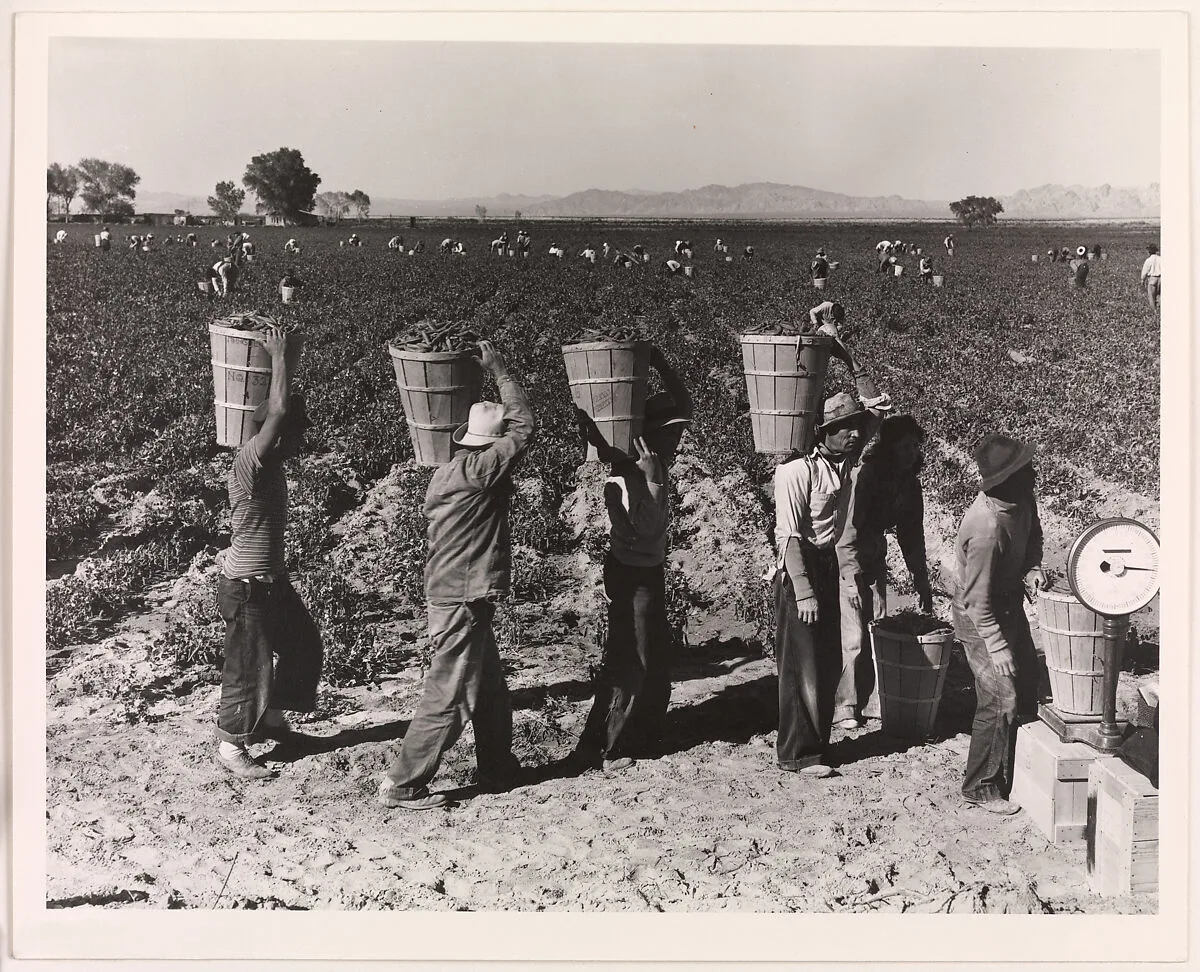 Pea Pickers Line Up on Edge of Field at Weigh Scale, near Calipatria, Imperial Valley, California, February — Dorothea Lange|Library of Congress