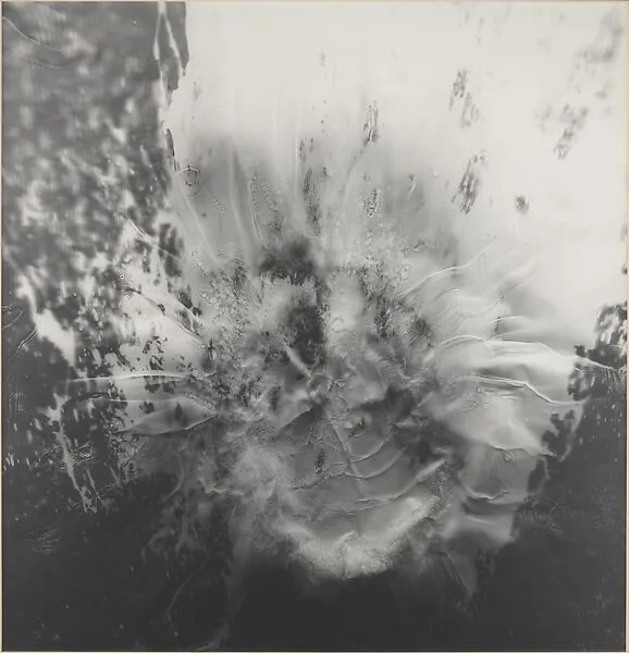 Untitled (Left Panel of Triptych) — Adam Fuss