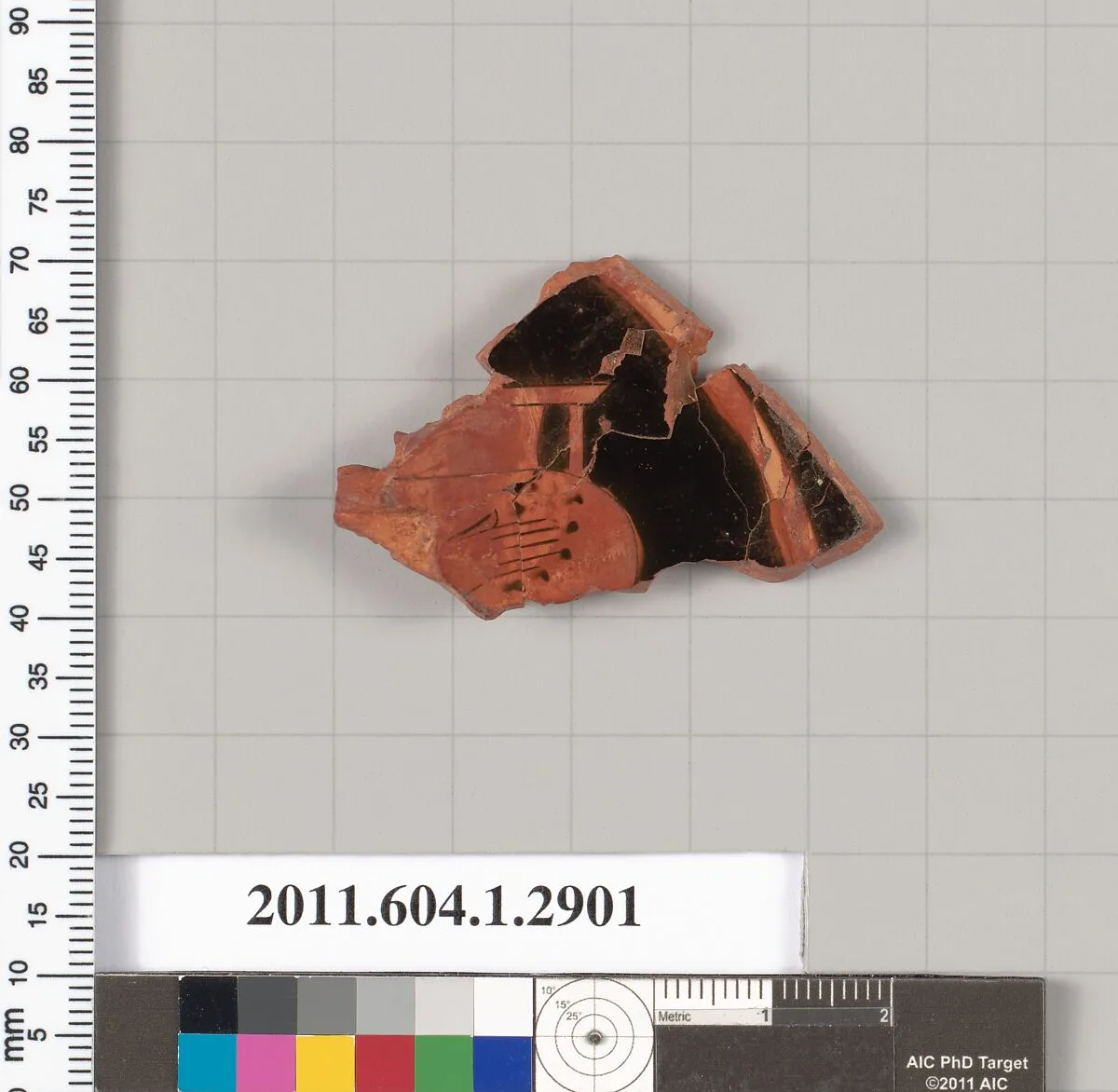Terracotta fragment of a kylix (drinking cup) — Unknown