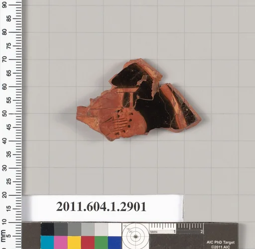 Terracotta fragment of a kylix (drinking cup)