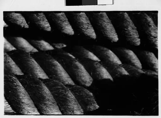 [One 35mm Film Frame: Rope]