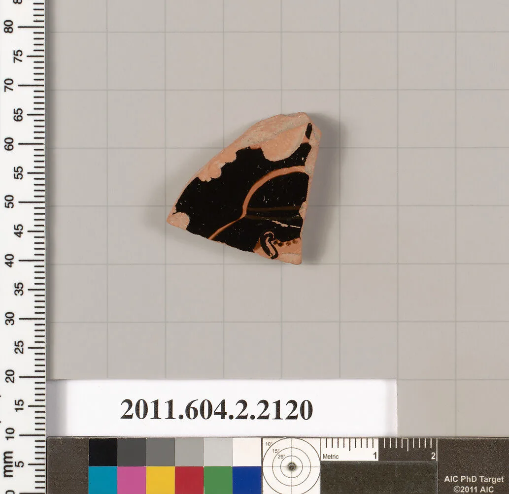 Terracotta fragment of a pot; unglazed on the inside — Unknown
