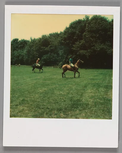 [Polo Match]
