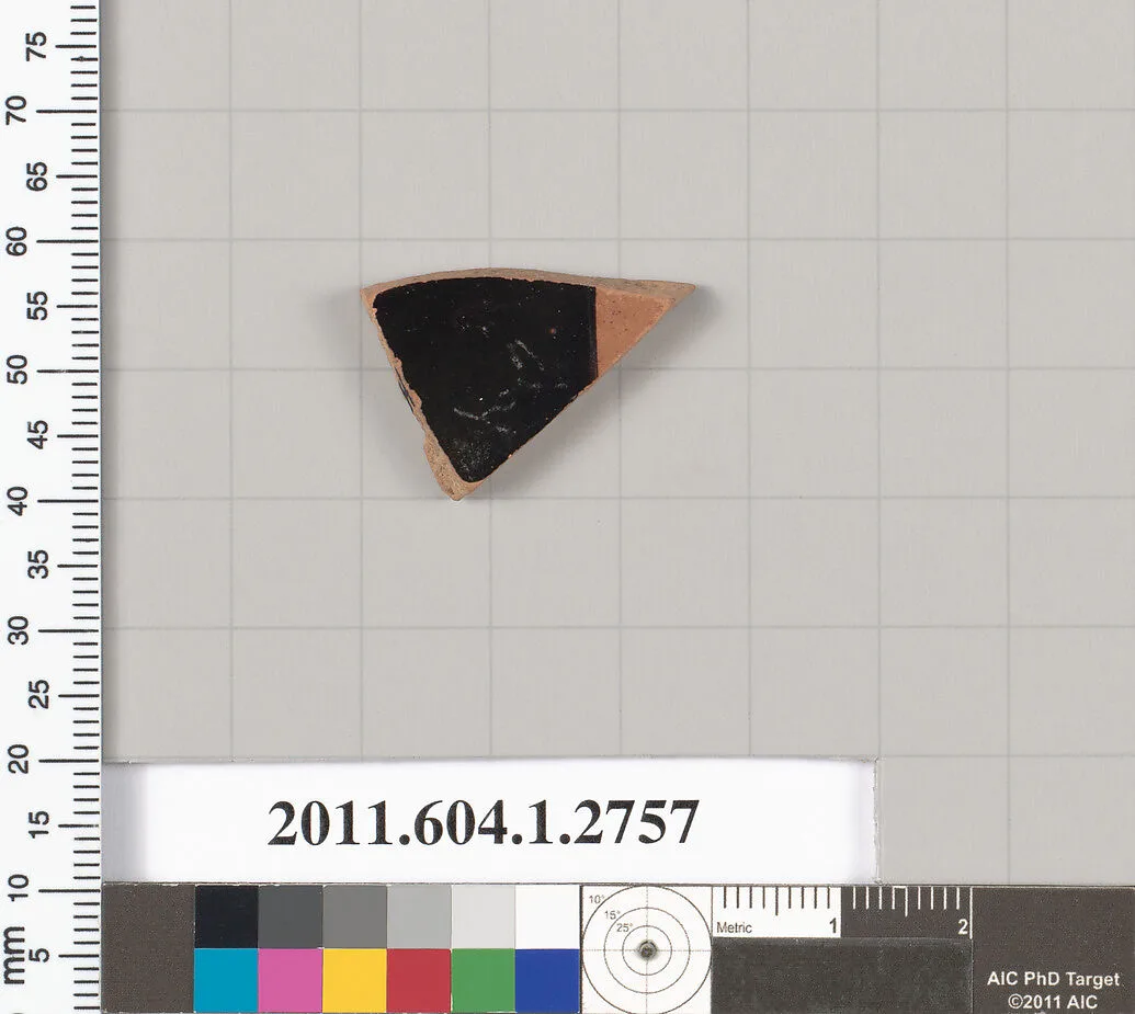 Terracotta fragment of a kylix (drinking cup) — Unknown