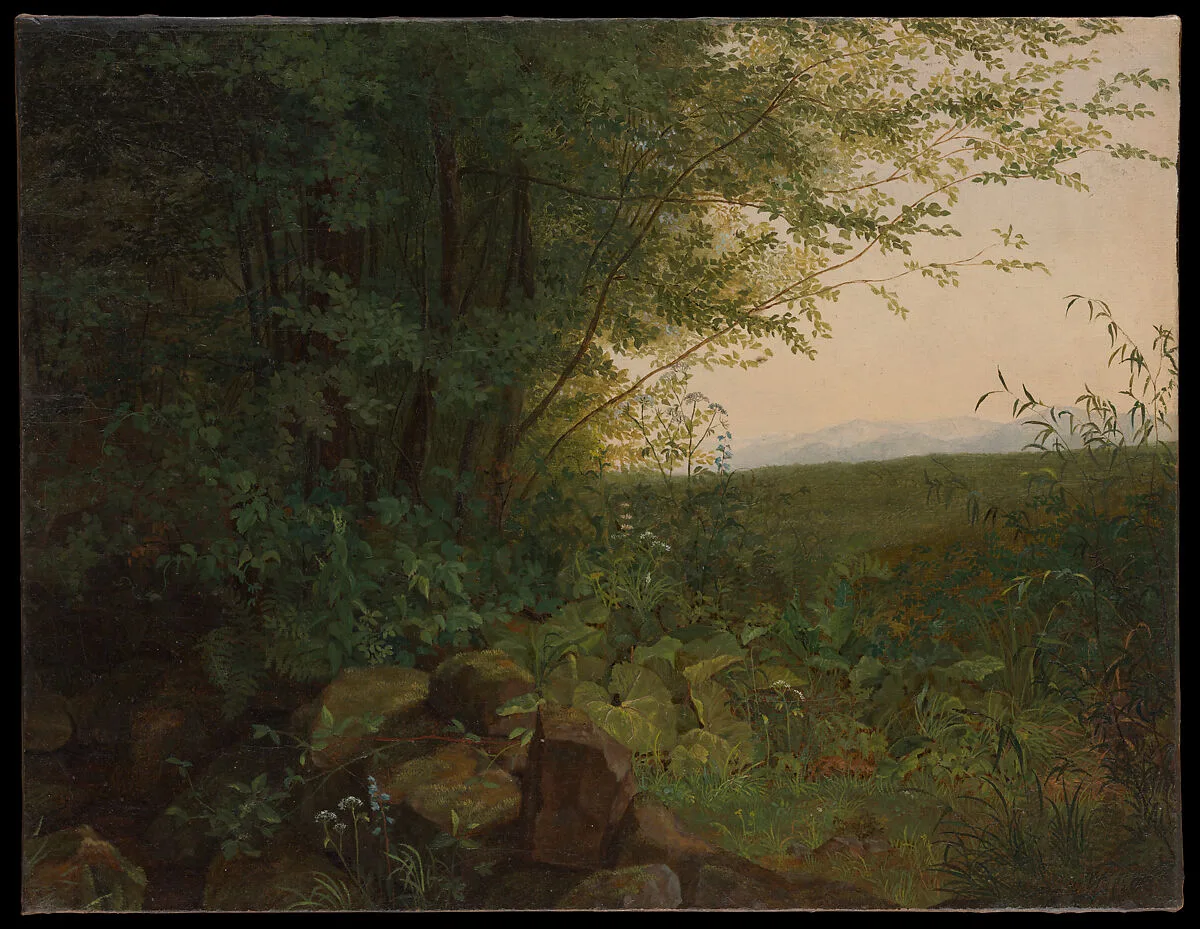 At the Edge of the Forest — August Heinrich