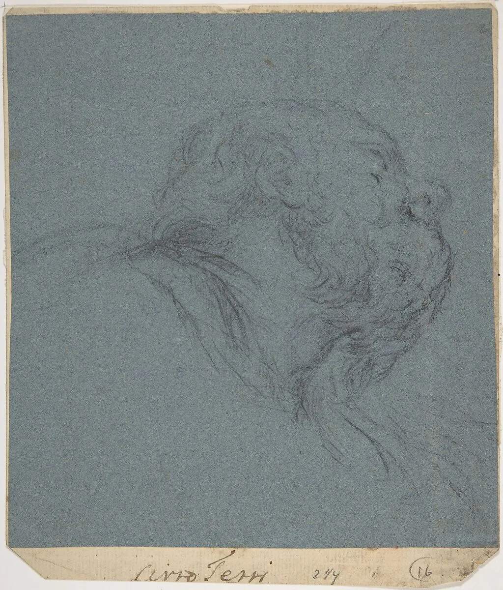 Head of a Bearded Man Looking to Upper Right — Ciro Ferri