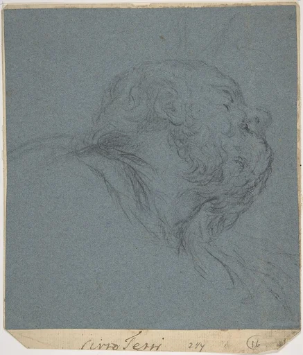 Head of a Bearded Man Looking to Upper Right
