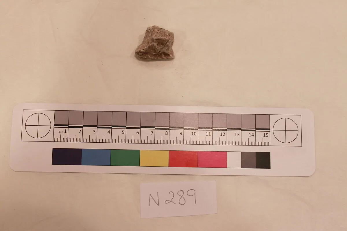 Stucco Fragment — Unknown