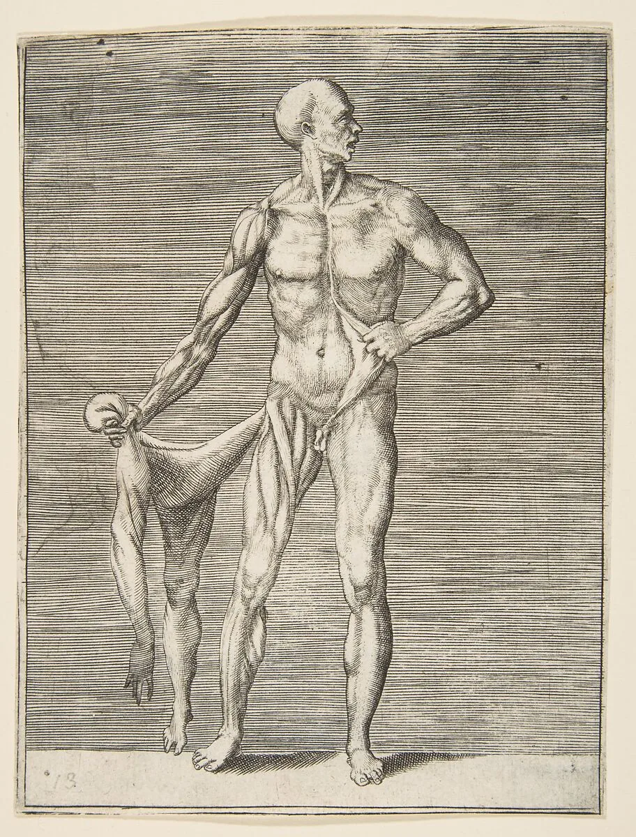 Man seen from the Front, holding the Skin of his right Arm and Leg in his right Hand — Giulio Bonasone