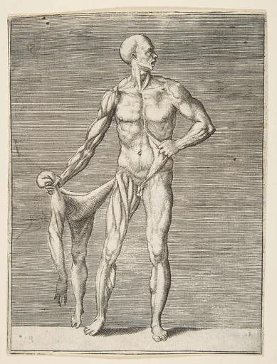 Man seen from the Front, holding the Skin of his right Arm and Leg in his right Hand