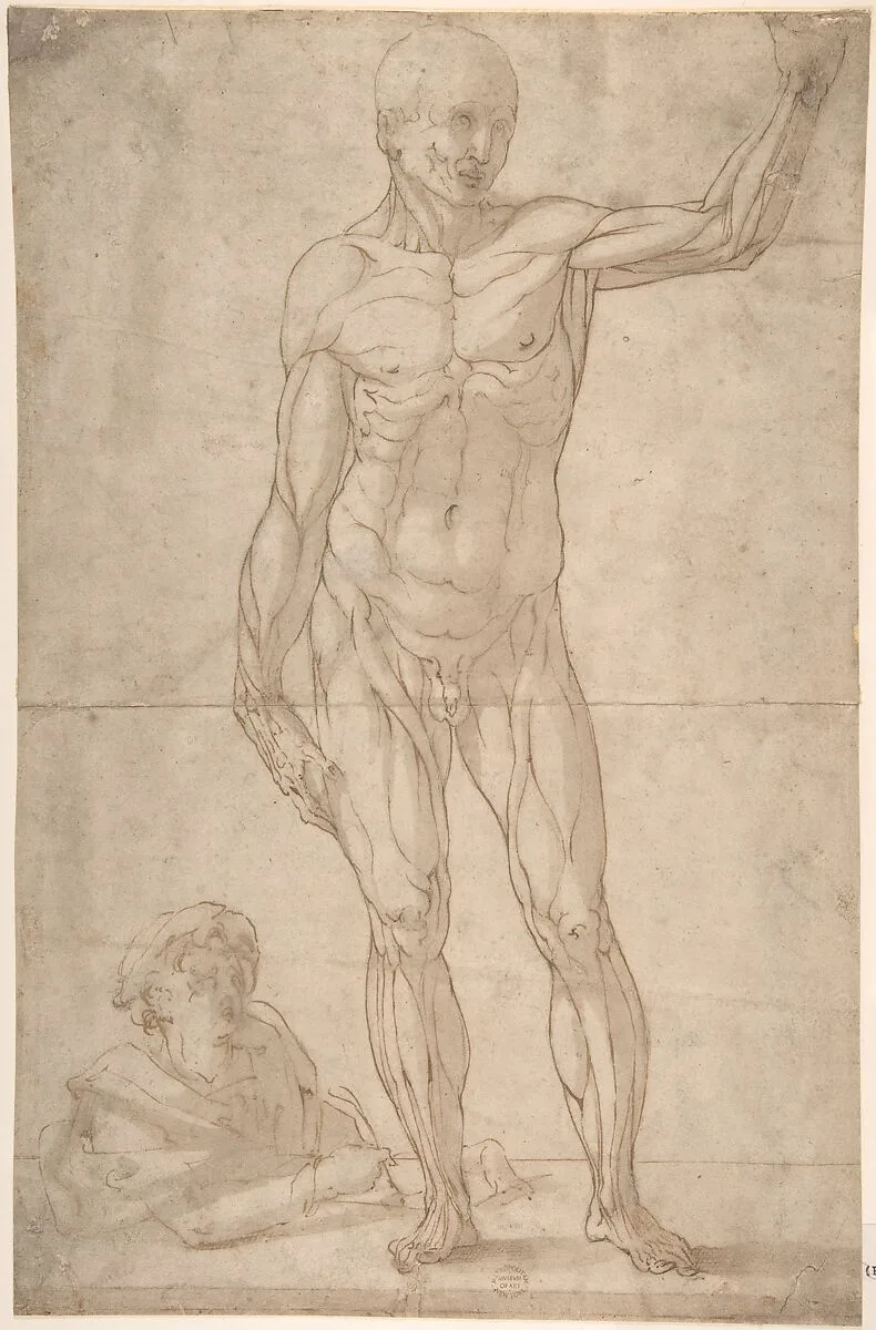 Study of Anatomy (A Youth Drawing an Ecorché of a Standing Man) — Anonymous, Italian, 16th to early 17th century