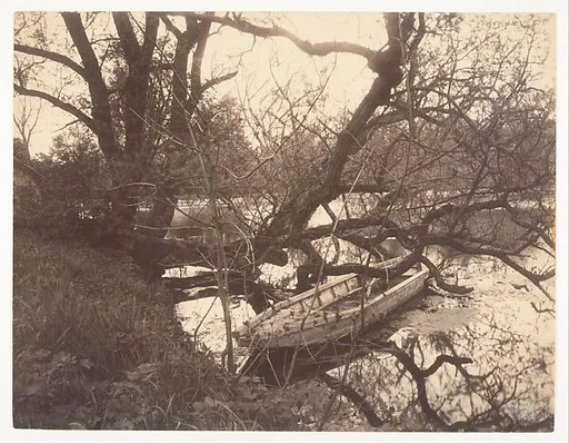 Etang, Ville-d'Avray