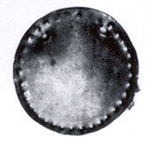 Disk ornament