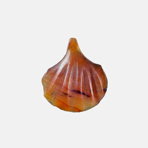 Shell Amulet