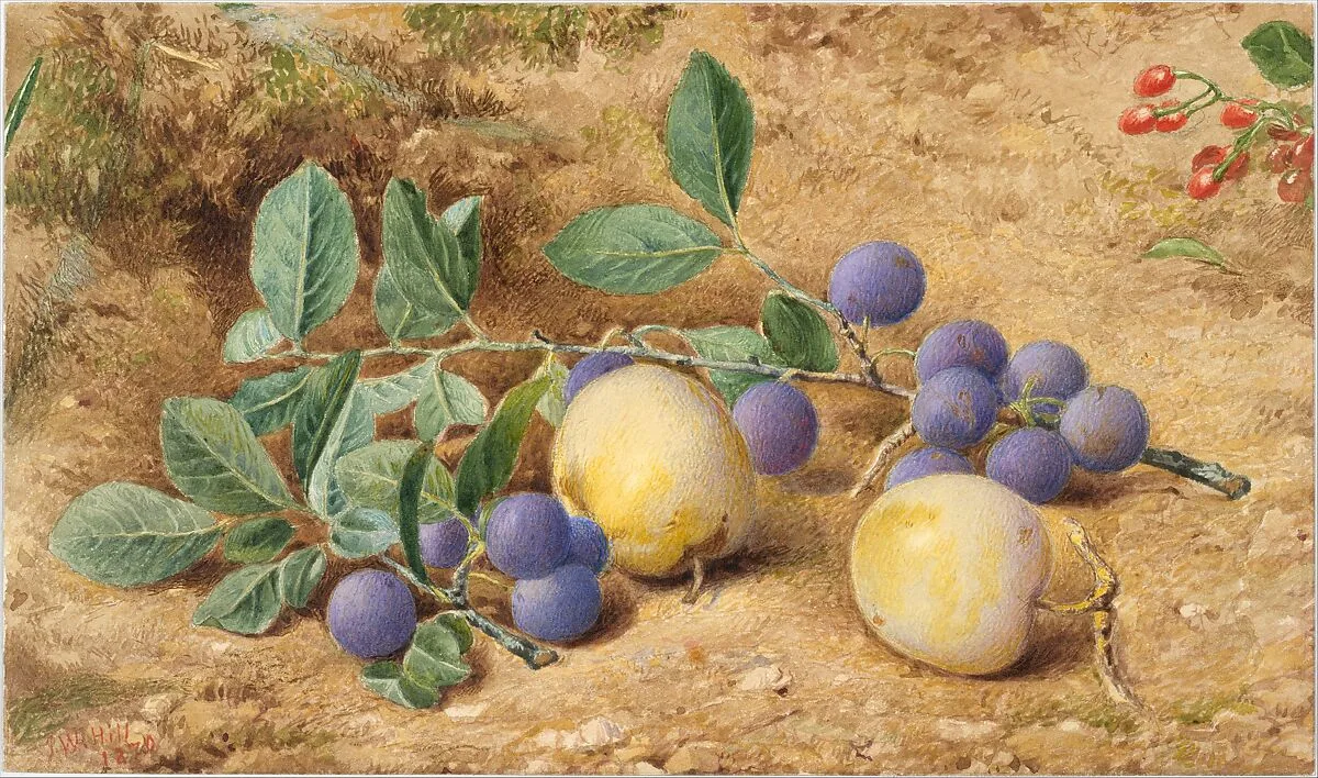 Plums — John William Hill