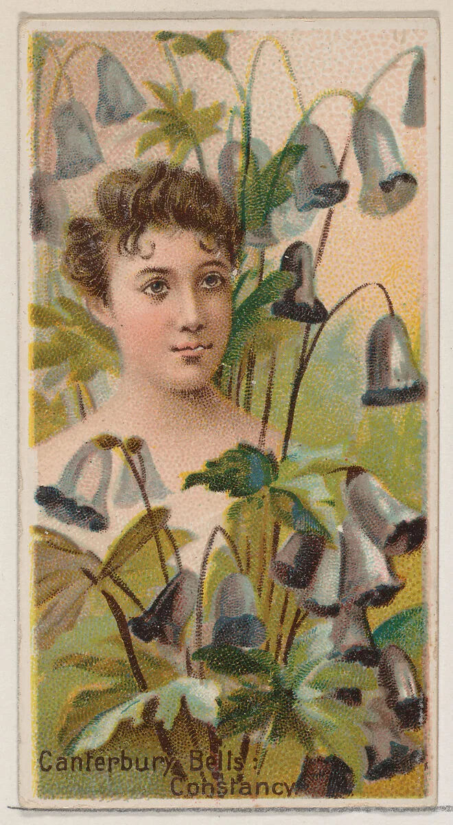 Canterbury Bells: Constancy, from the series Floral Beauties and Language of Flowers (N75) for Duke brand cigarettes — Donaldson Brothers|American Tobacco Company