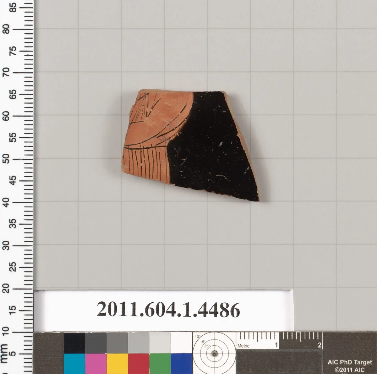 Terracotta fragment of a kylix (drinking cup) — Unknown